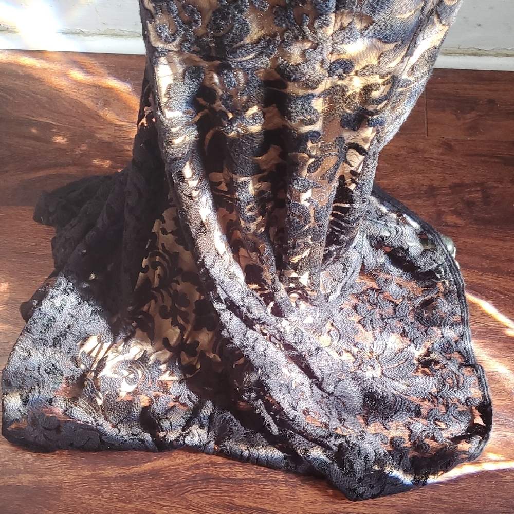 Tadashi Shoji Banded Lace  Black and Tan Maxi Gown with Flutter Cap Slee… - Picture 10 of 12